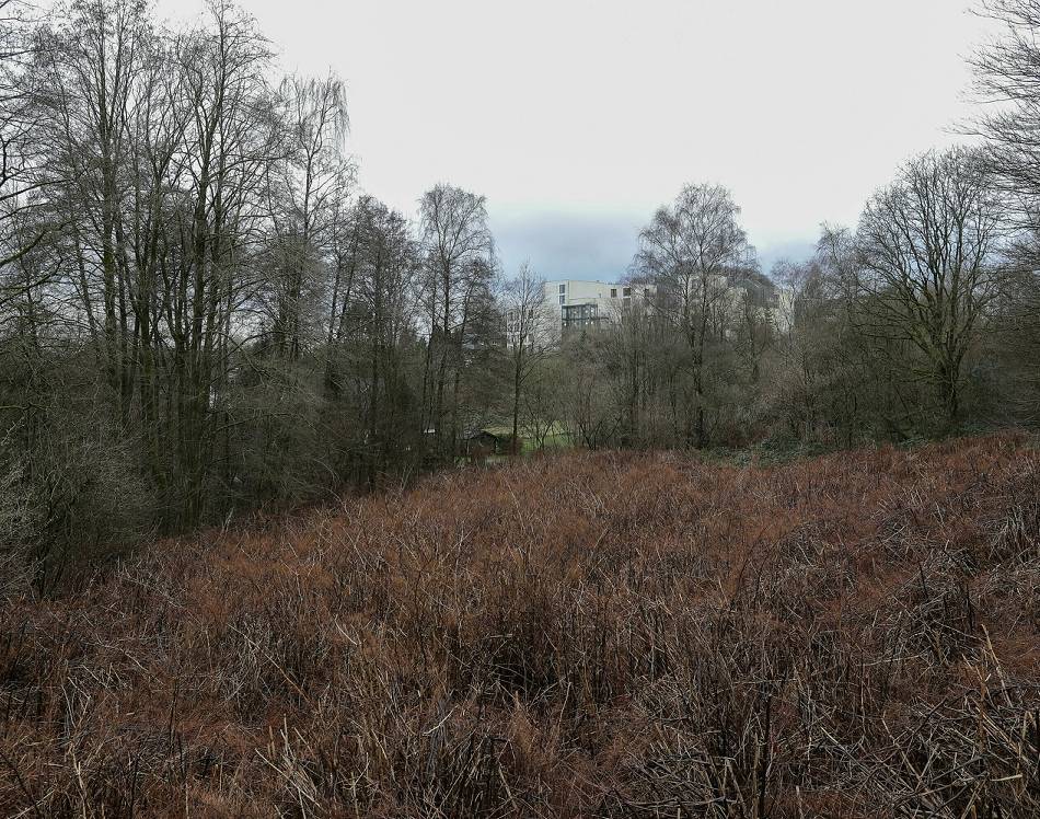 Anwohner in Sorge: Zerstört ein neues Wohnquartier in Wuppertal-Ronsdorf die Harmonie?